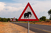Ein Verkehrswarnschild, das auf die Überquerung eines afrikanischen Elefanten an der Straße zum Chobe-Nationalpark hinweist. Chobe-Nationalpark, Botsuana.
