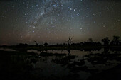 Die Milchstraße und das Zodiakallicht über dem Okavango-Delta. Okavango-Delta, Botsuana.