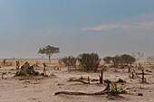 A sand storm approaching. Savuti, Chobe National Park, Botswana