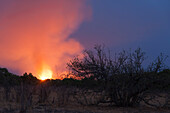 Ein Buschfeuer auf den Hügeln um das Savuti-Sumpfgebiet. Savuti, Chobe-Nationalpark, Botsuana