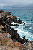 Die Küstenlinie der South Plaza Island. South-Plaza-Insel, Galapagos, Ecuador