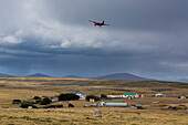 An airplane landing on Pebble Island airstrip. Pebble Island, Falkland Islands