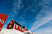 Seemöwen fliegen am blauen Himmel über einem roten Haus. Ilulissat, Grönland.