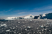 A view of icebergs and melting pack ice in Ilulissat icefjord, an UNESCO World Heritage Site. Ilulissat Icefjord, Ilulissat, Greenland.