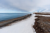 A rocky beach faces Mushamna Bay and snow covered mountains. Spitsbergen Island, Svalbard, Norway.