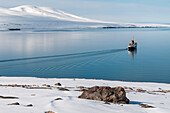 An expedition cruise ship anchors in Bockfjorden. Bockfjorden, Spitsbergen Island, Svalbard, Norway.
