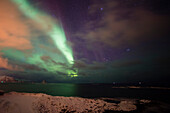 Ein Polarlicht über dem Meer in Andenes. Andenes, Vesteralen-Inseln, Nordland, Norwegen.