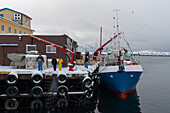 A fishing boat docked at Nordmela harbor. Nordmela, Vesteralen Islands, Nordland, Norway.