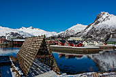 Rote Häuser und Trockengestelle für Kabeljau am Hafen von Svolvaer. Svolvaer, Lofoten-Inseln, Nordland, Norwegen.