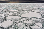 Ein Blick auf das schmelzende Meereis auf dem arktischen Ozean. Nordpolare Eiskappe, Arktischer Ozean