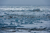 Meereis am Wahlenberg Fjord. Nordaustlandet, Svalbard, Norwegen
