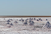 Piles of salt harvest in the salt flats near Shannah. Shannah, Oman.