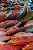 Eine Auswahl an farbenfrohen tropischen Fischen, die auf einem lokalen Markt verkauft werden. Victoria, Insel Mahe, Republik der Seychellen.