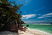 Palmen und ein mit Steinen übersäter Strand im Indischen Ozean. Grand Anse Beach, Insel Fregate, Republik Seychellen.