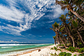 Der tropische, von Palmen gesäumte Sandstrand von Grand Anse. Grand Anse Beach, Fregate Island, Republik der Seychellen.