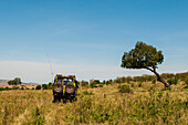 Ein Geländewagen fährt in der afrikanischen Savanne. Masai Mara Nationalreservat, Kenia.