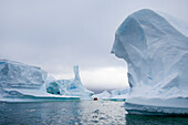 Antarctica, Antarctic Peninsula, Lemaire Channel, Icebergs near Pleneau Island.