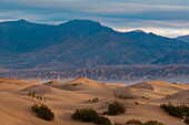 Sonnenlicht beleuchtet Sanddünen im Gebiet Stovepipe Wells im Death Valley. Death Valley National Park, Kalifornien, USA.