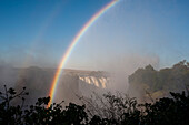 Ein doppelter Regenbogen über den nebligen Victoriafällen. Victoria Falls National Park, Simbabwe.