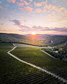 Toskana-Landschaft bei Radda in Chianti, Provinz Siena, Toskana, Italien