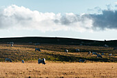 Gran-Sasso-Nationalpark atemberaubende Landschaft in der Nähe von Campo Imperatore. Gran-Sasso-Nationalpark, Provinz L'Aquila, Abruzzen, Italien.