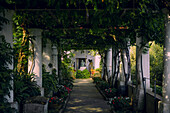 Villa San Michele garden. Capri island, Campania, Italy