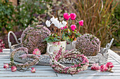 Herbstdeko, Strohblumen aus Hortensien (Hydrangea), Blumenkranz aus Besenheide (Calluna Vulgaris), Alpenveilchen in Töpfen (Cyclamen) aus Kaffeetassen