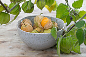 Harvested Cape gooseberry (Physalis peruviana) in a bowl
