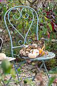 Herbststillleben, Zierkürbis auf Gartenstuhl