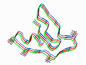 Filament from neurodegenerative brain, molecular model