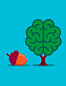 Acorn and oak tree with brains, illustration