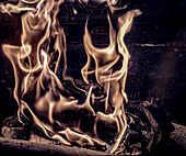 Flames, infrared image