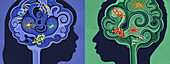 Developing brains conceptual illustration