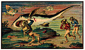 Shark hunt, illustration