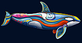 Orca, illustration