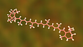 Molecular model of beta-carotene, illustration