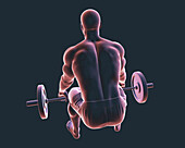 Man lifting a barbell, illustration