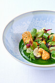 Snails with watercress
