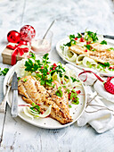 Fisch mit Fenchel-Granatapfelsalat