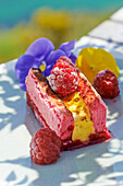 Raspberry sponge cake with sabayon