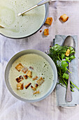 Cream of herb soup with croutons