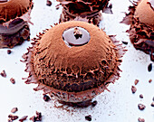 Chocolate mousse tartlet with icing