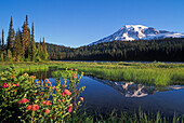 Mount Rainier und Reflection Lake im Mount Rainier National Park, Washington.