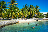 Strand von Rangiroa, Tuamotu-Inseln, Französisch-Polynesien, Südpazifik.