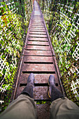 Amazonas-Regenwald-Wanderung in der Sacha Lodge, Coca, Ecuador, Südamerika