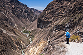 Trekking im Colca Canyon, Peru