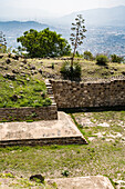 An agave flower spike on the largest ball court in the ruins of the Zapotec city of Atzompa, near Oaxaca, Mexico. It is the largest ball court in the Monte Alban group of ruin sites. In the background is the Central Valley and city of Oaxaca.