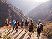 Touristen bei der Ankunft im Dorf Sangalle nach einer Wanderung durch den Colca Canyon bei Sonnenuntergang, Peru