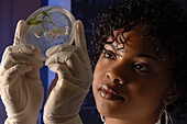 Scientist working in lab with plant material