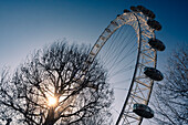 London Eye, South Bank, London, England